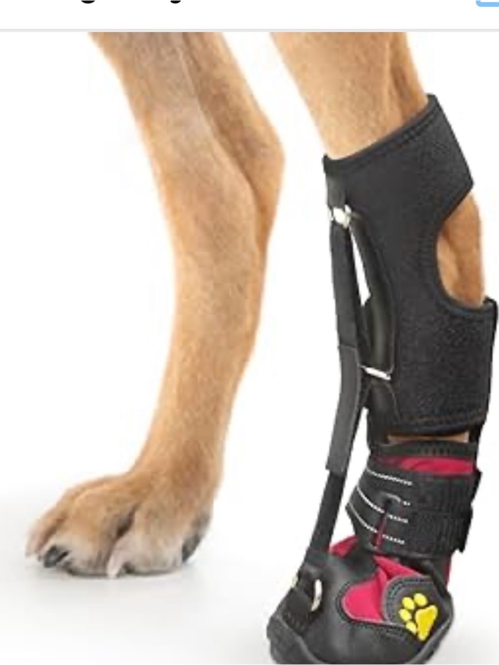 Strap-On Drop Foot Brace (No Knuckling Boot Brace) - Corrective Dog Shoes